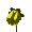 034-1.gif
