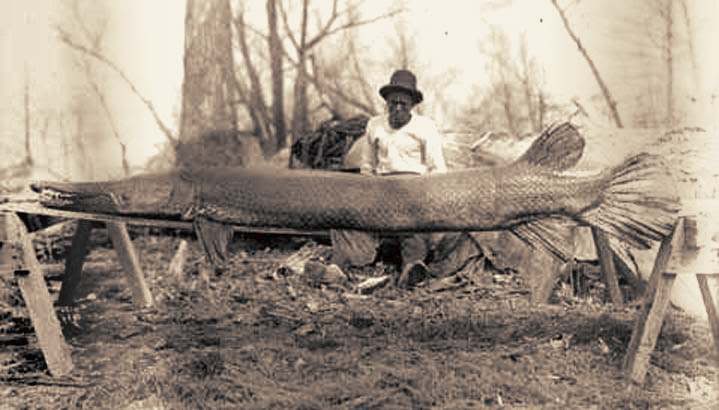 gar-1.jpg