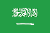 sa_flag-1.gif