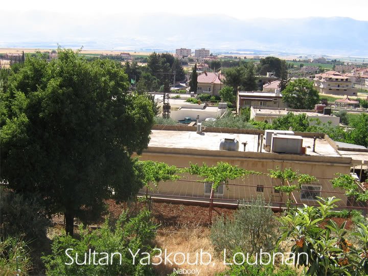 SutanYa3koub1-1.jpg