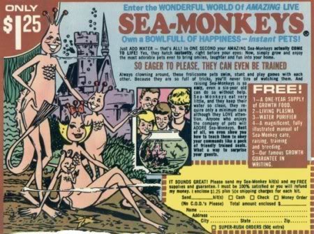 seamonkeys-1.jpg