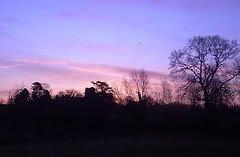 2137467817_346fc10ab9_m-1.jpg