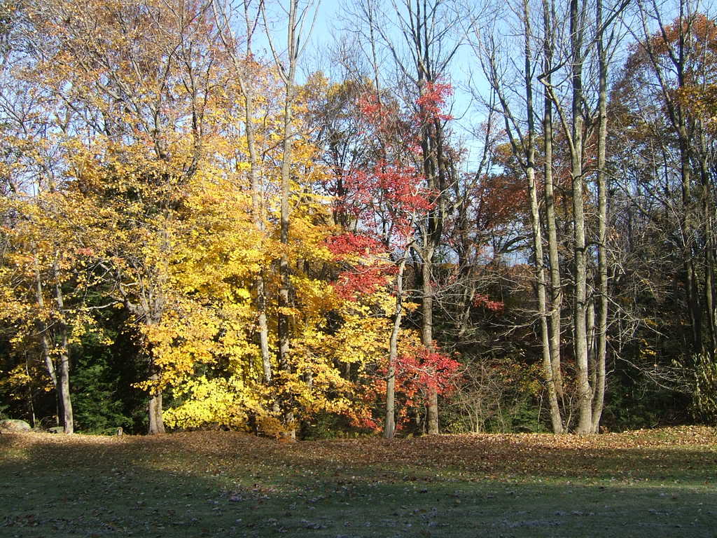 DSCF16271-1.jpg