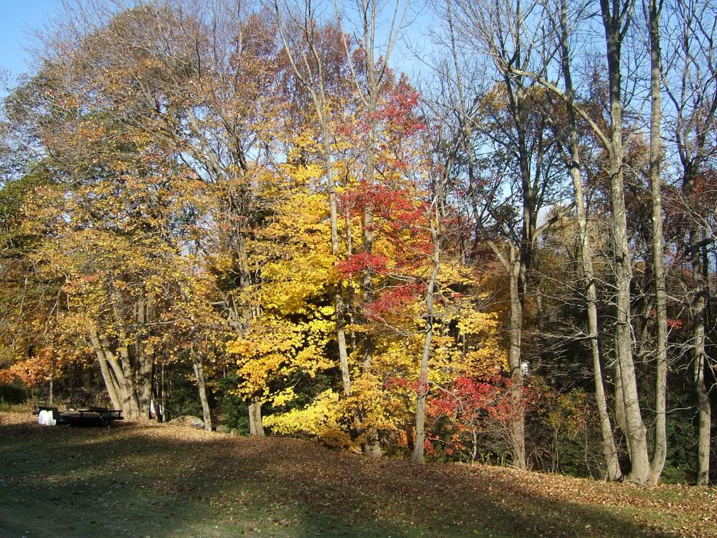DSCF1628-1.jpg