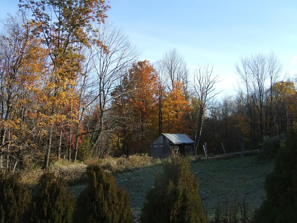 DSCF1638-1.jpg