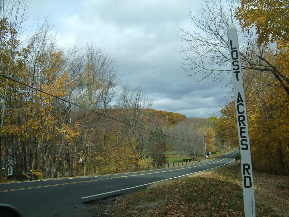 DSCF1641-1.jpg