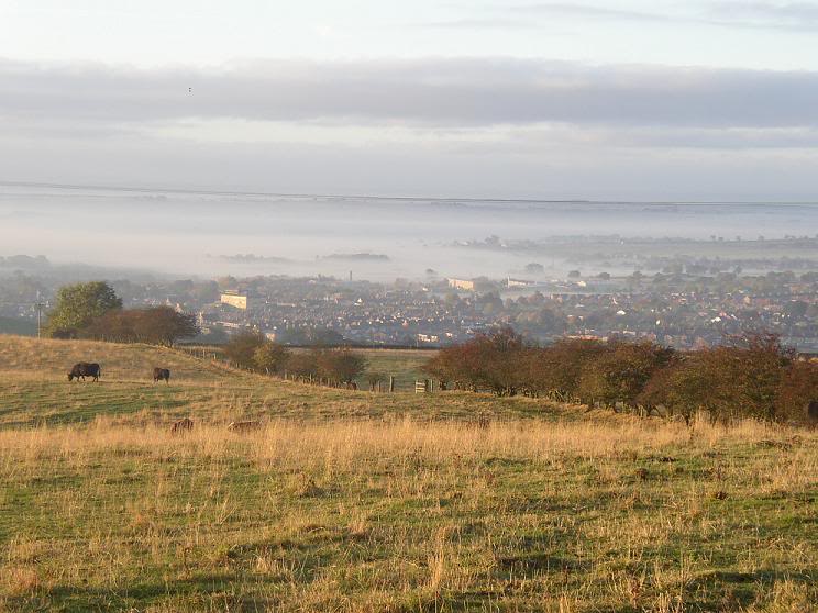 foginthevalley-1.jpg