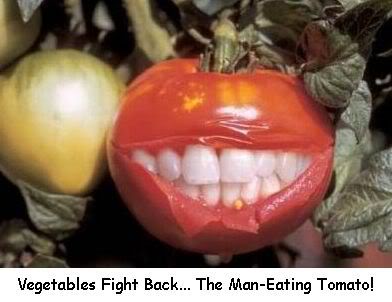 tomato-1.jpg