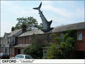 untitledshark-1.jpg