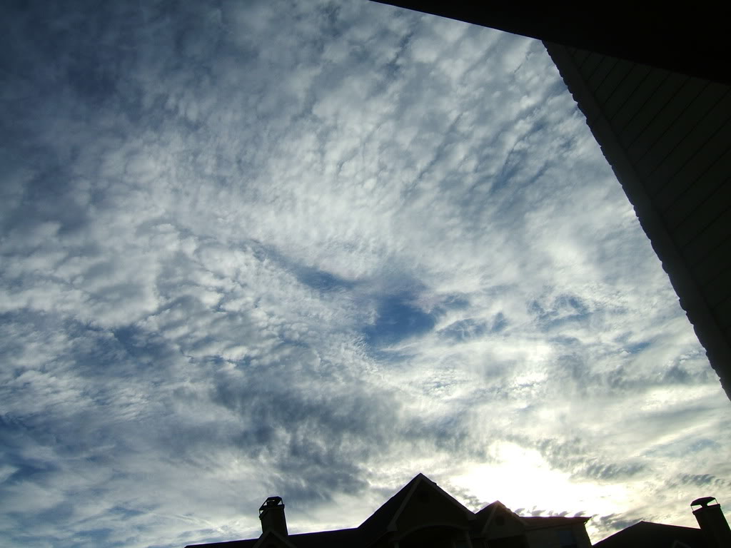 DSCF2929-1.jpg