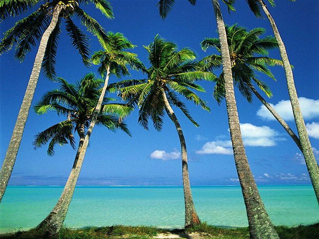 dArt_Tropical_Islands_vol_1_11773-1.jpg
