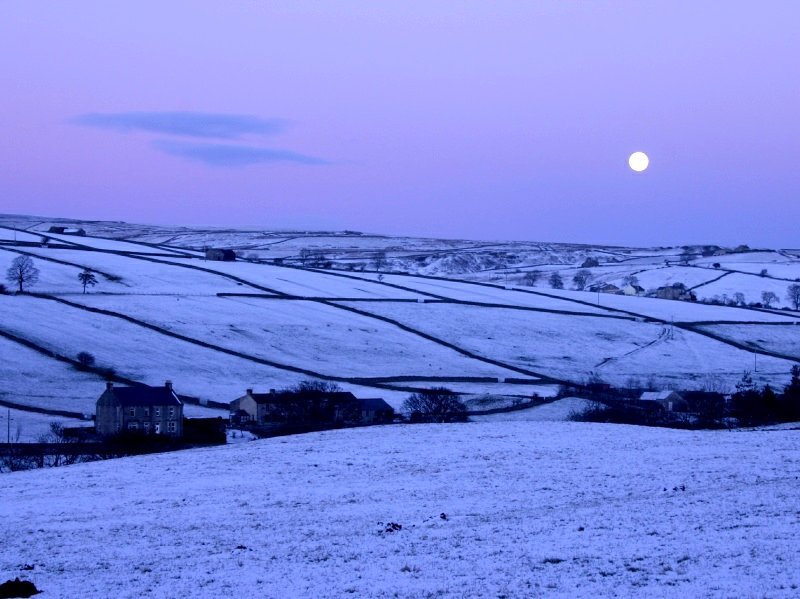 moonrisedec04-1.jpg