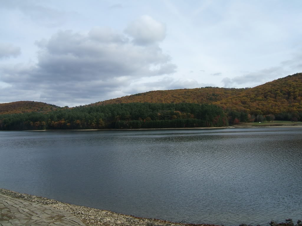 Barkhamstead-1.jpg