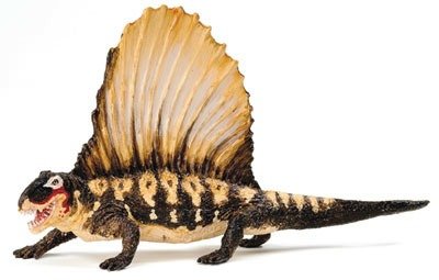 Dimetrodon_angelensis_001-1.jpg