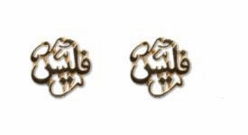 EarringAnim-1.gif