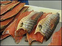 _44424458_salmoncut203-1.jpg
