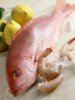 fish_recipes-1.jpg