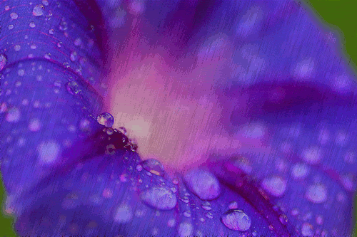 rainflower-1.gif