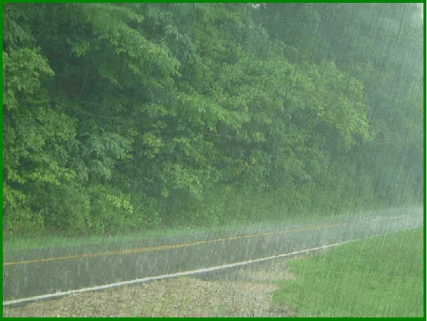 rainy2-1.gif