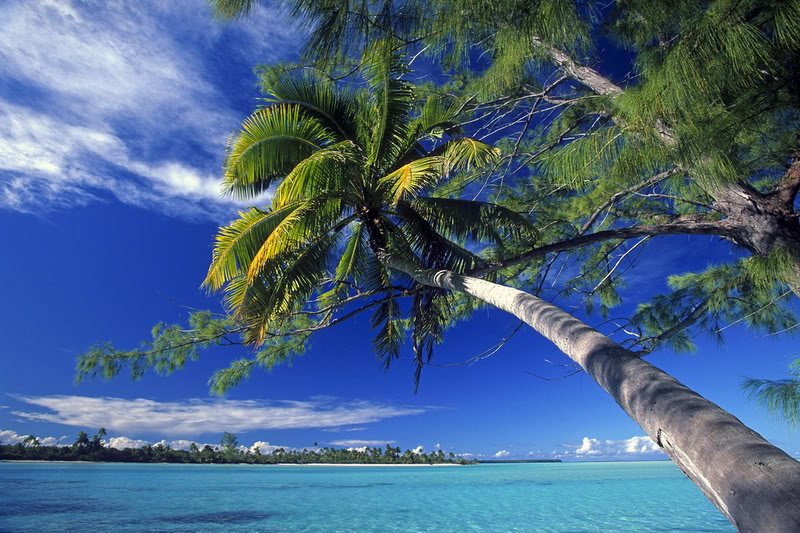 tetiaroa1-1.jpg