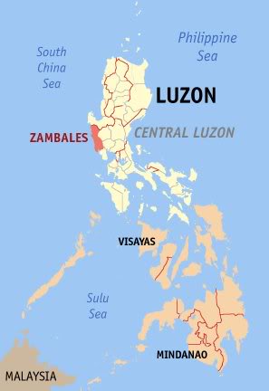 zam1-1.jpg