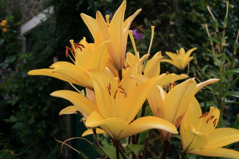 840707398bd41dIN-1.jpg