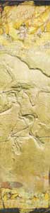 archeopteryx1-1.jpg