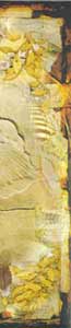 archeopteryx2-1.jpg