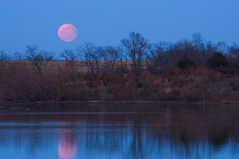 57271316worm_moon_eclipse_pbase-1.jpg