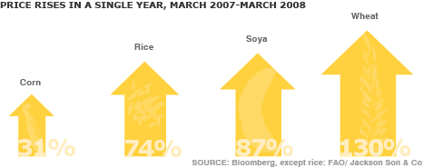  44551082 wheat corn growth466 1 - The Price for Rice has gone up