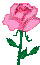 fwlr6774-1.gif