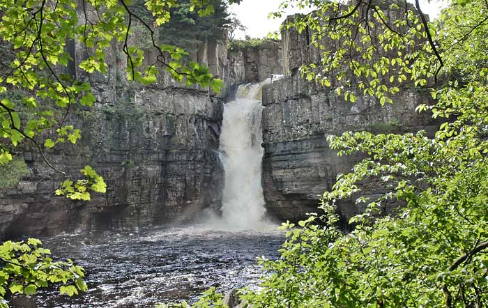 highforce1-1.jpg