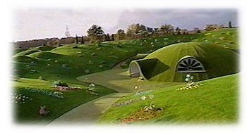 home-1.jpg