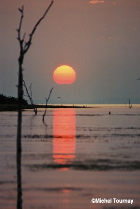 image002774-1.jpg