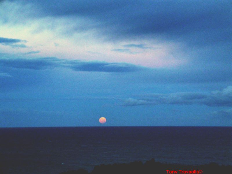 image002886-1.jpg