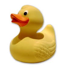 rubberDuck-1.jpg