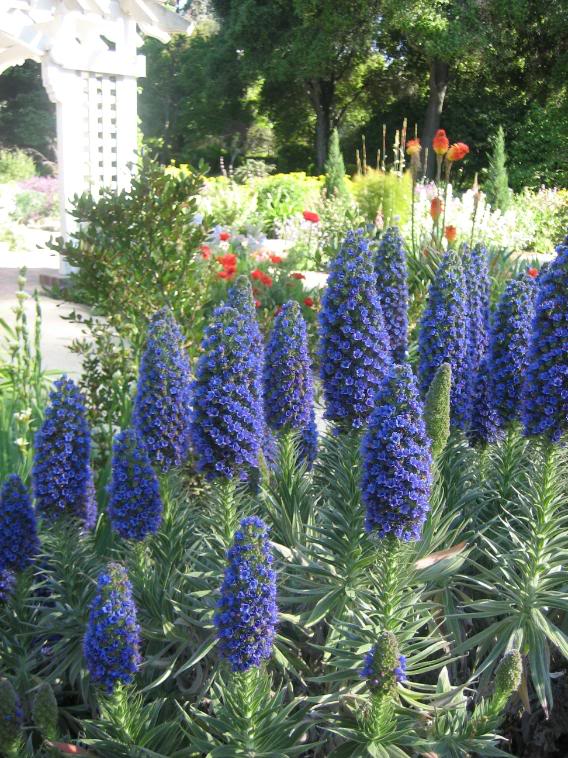 20080430_14-1.jpg