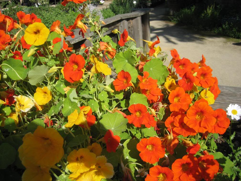 20080430_16-1.jpg