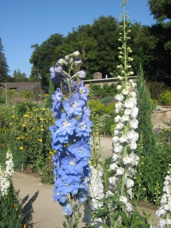 20080430_18-1.jpg