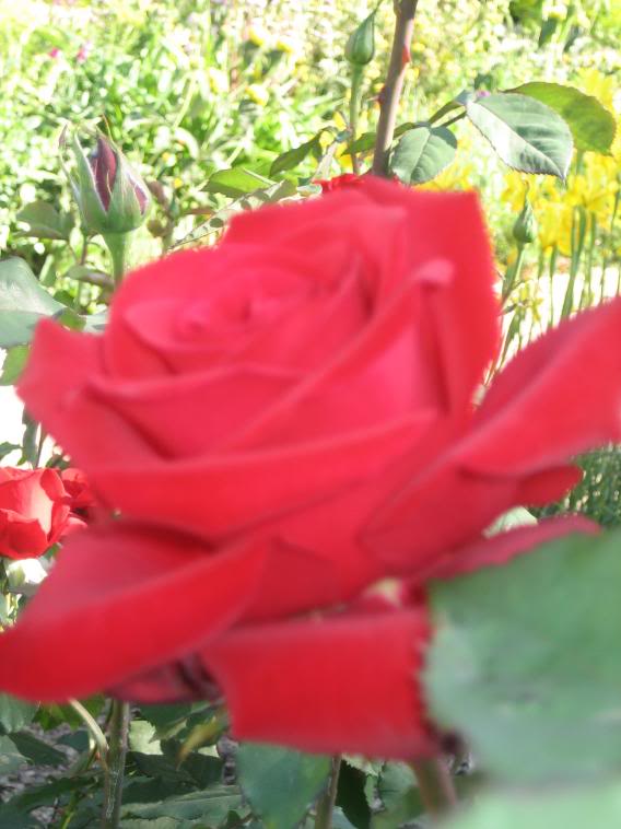 20080430_2-1.jpg