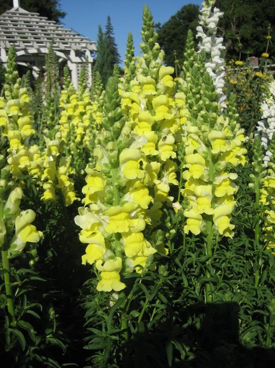 20080430_25-1.jpg