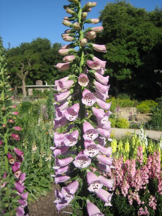 20080430_29-1.jpg