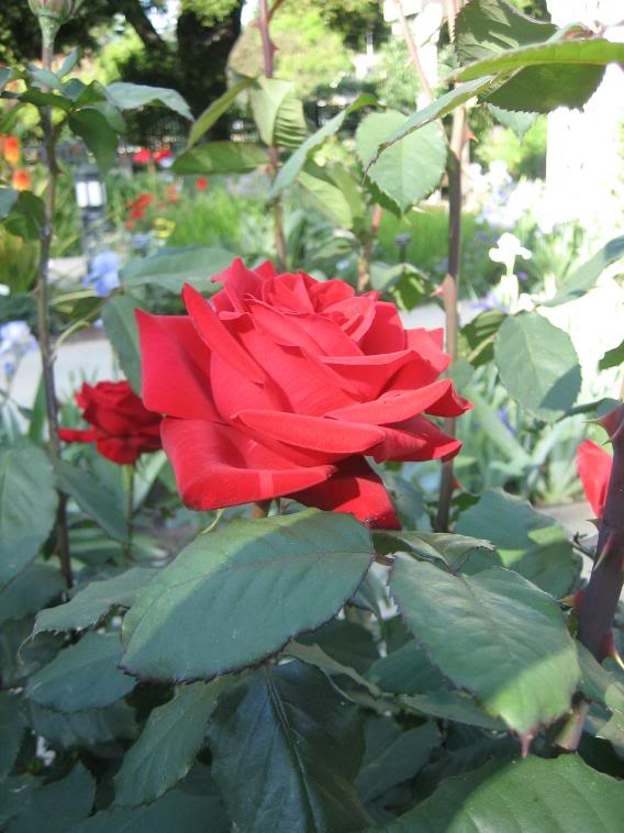 20080430_4-1.jpg
