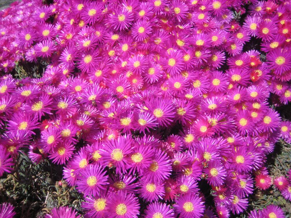 20080501_28-1.jpg