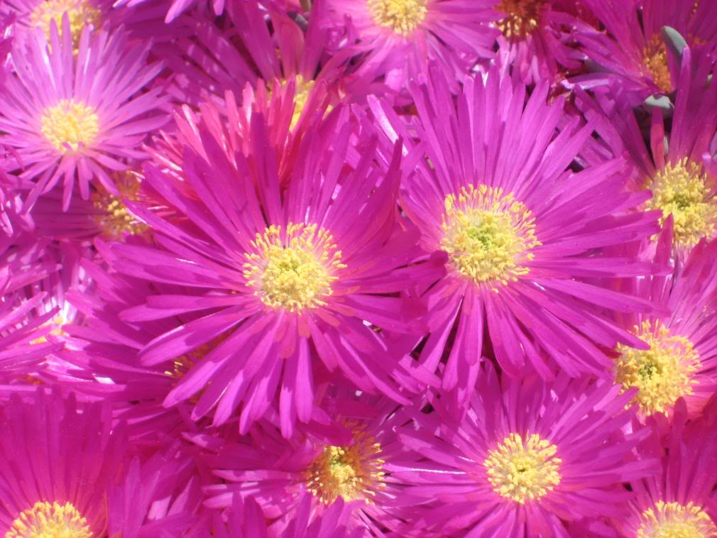 20080501_30-1.jpg