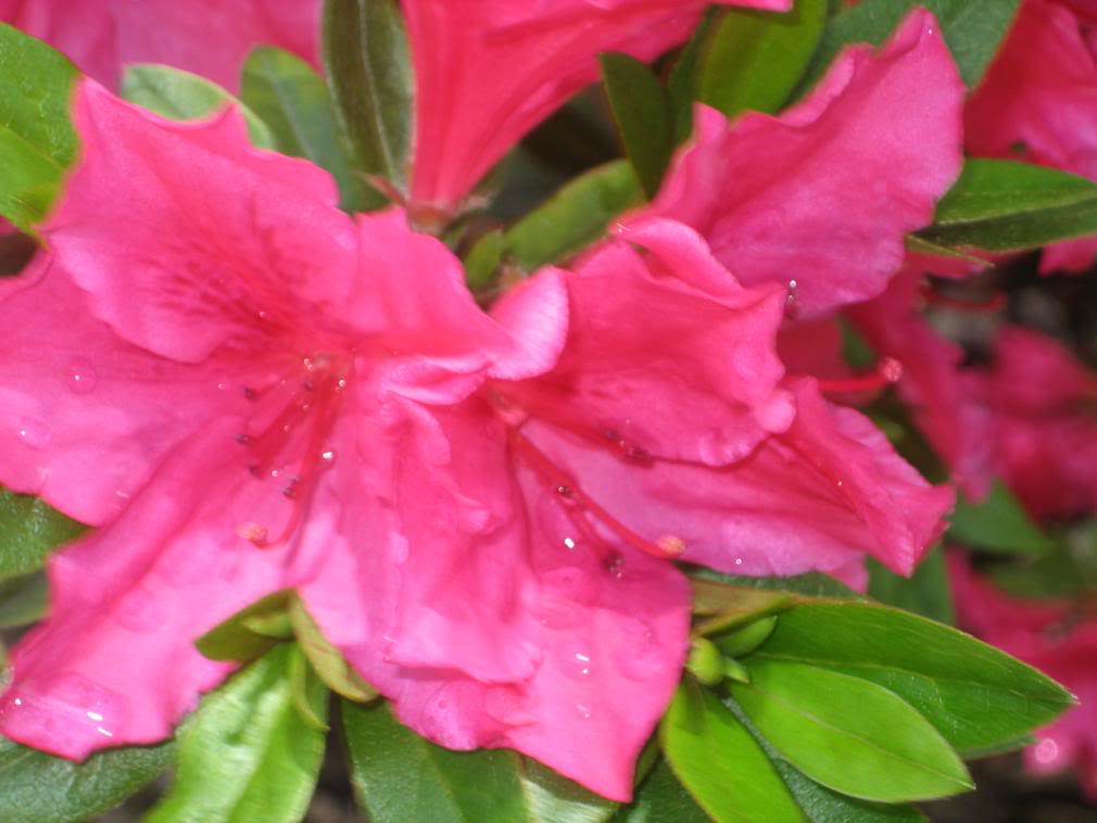 20080512_44-1.jpg