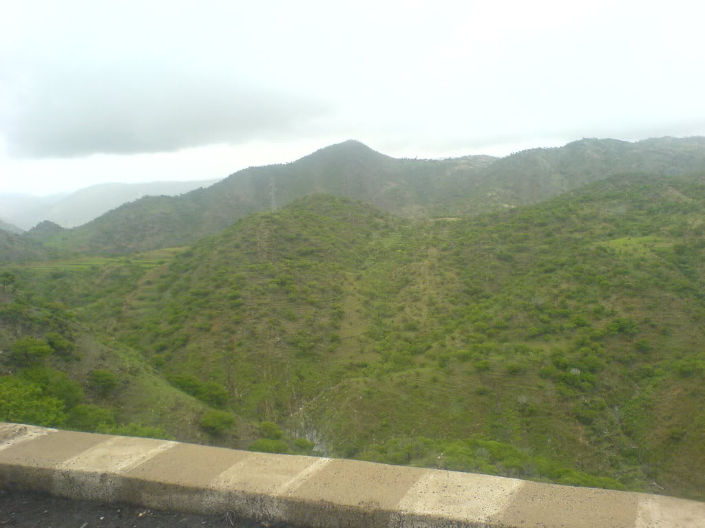 DSC00062-1.jpg
