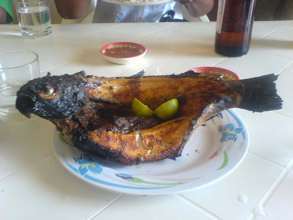 DSC00094-1.jpg