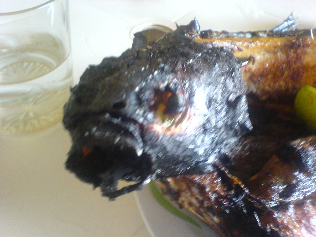 DSC00095-1.jpg