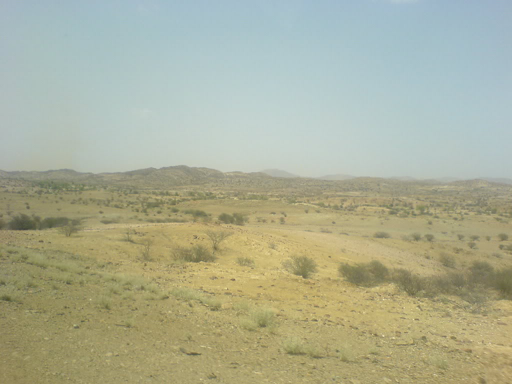 DSC00099-1.jpg